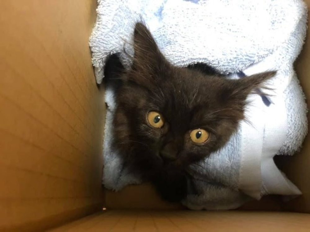 【実際の写真】現在の姿