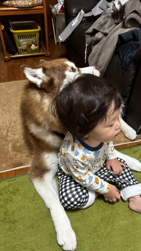 【実際の写真】2人の行動