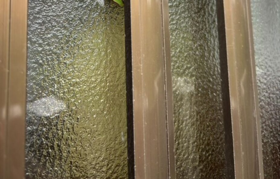 玄関を出入りしていた女性「あれ…」ドアの隙間に違和感。よ～く見ると”違和感の正体”に「うちもおんなじです」「素直に羨ましい」「しっくりきてるんですねw  」