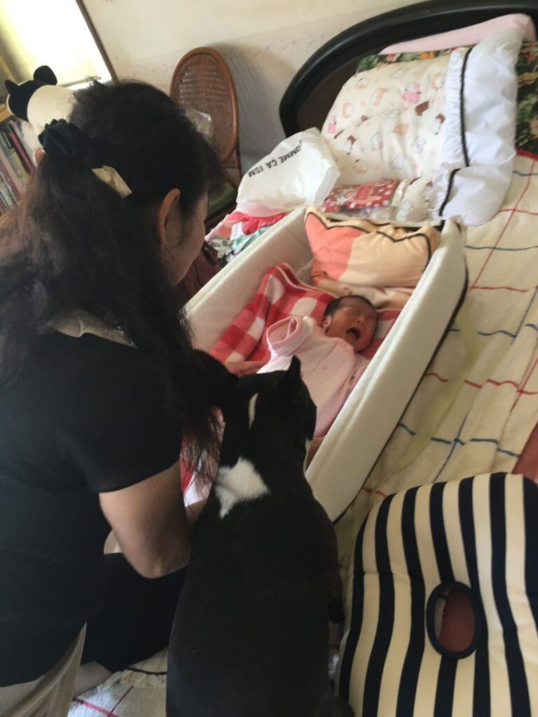 後ろから眺める様子（＠0419boston_1105chihuahuaさんより提供）