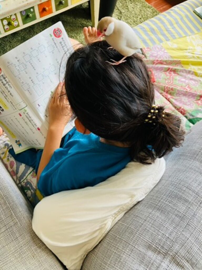 普段の娘さんの様子②（@naminori_seitaiさんより提供）
