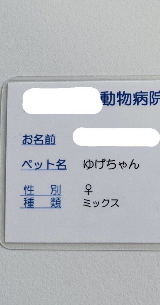 動物病院でもらった診察券。しかし、飼い主がよく見ると…「笑ってしまった」目撃した光景に「これは嬉しいですねぇ」「面白いです」「素敵」