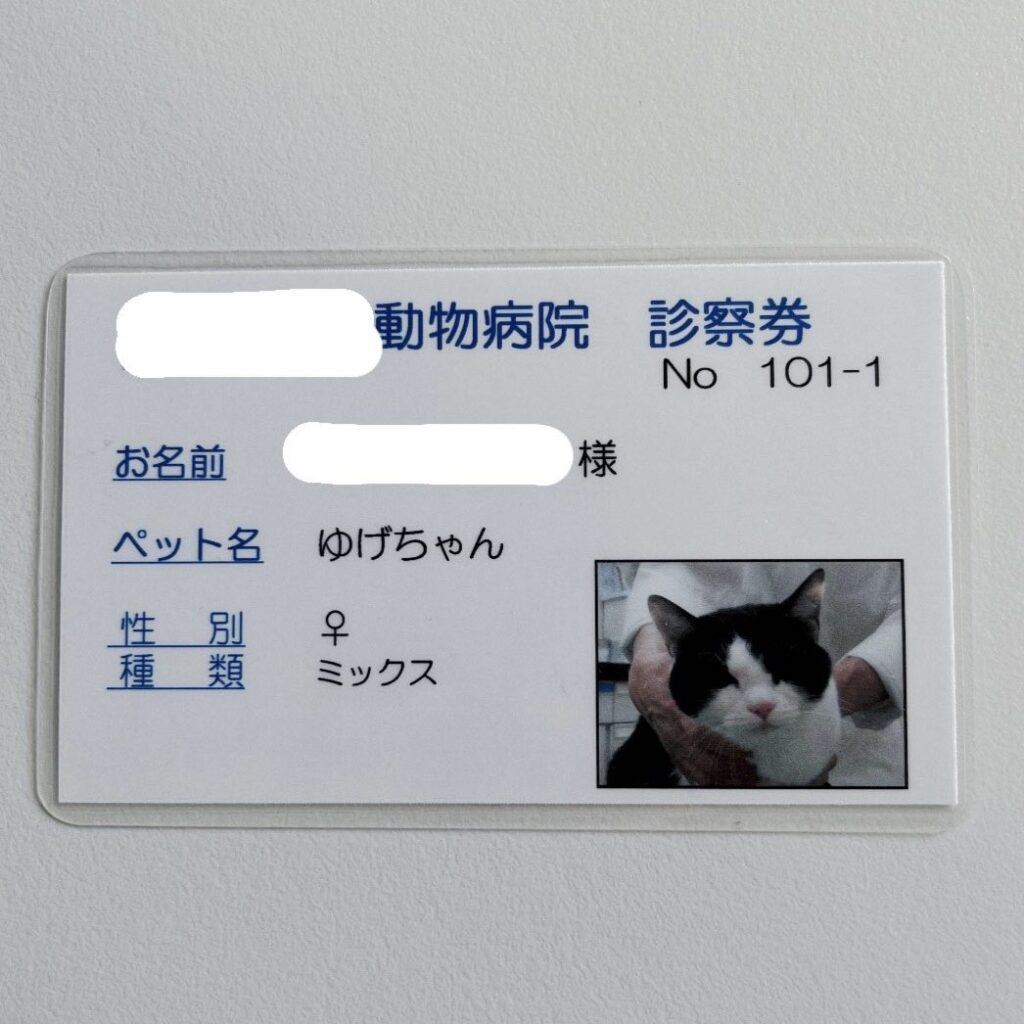 なんと、顔写真入りの診察券（@makiko108さんより提供）