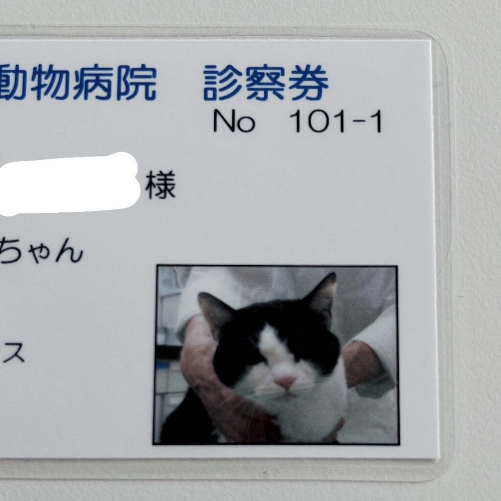 動物病院の診察券をよく見ると…（@makiko108さんより提供）