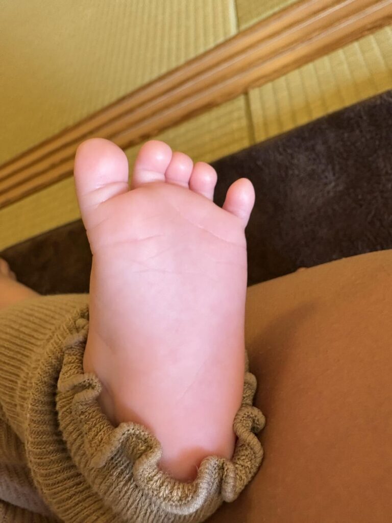 【実際の写真5枚】姪っ子ちゃんが撮った写真