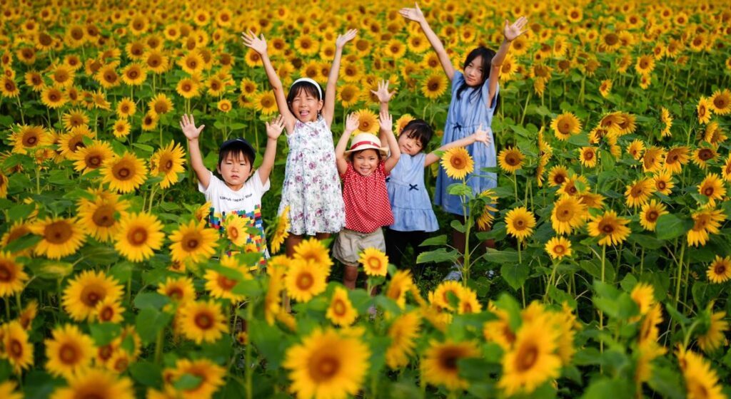 【実際の写真4枚】　素敵な写真