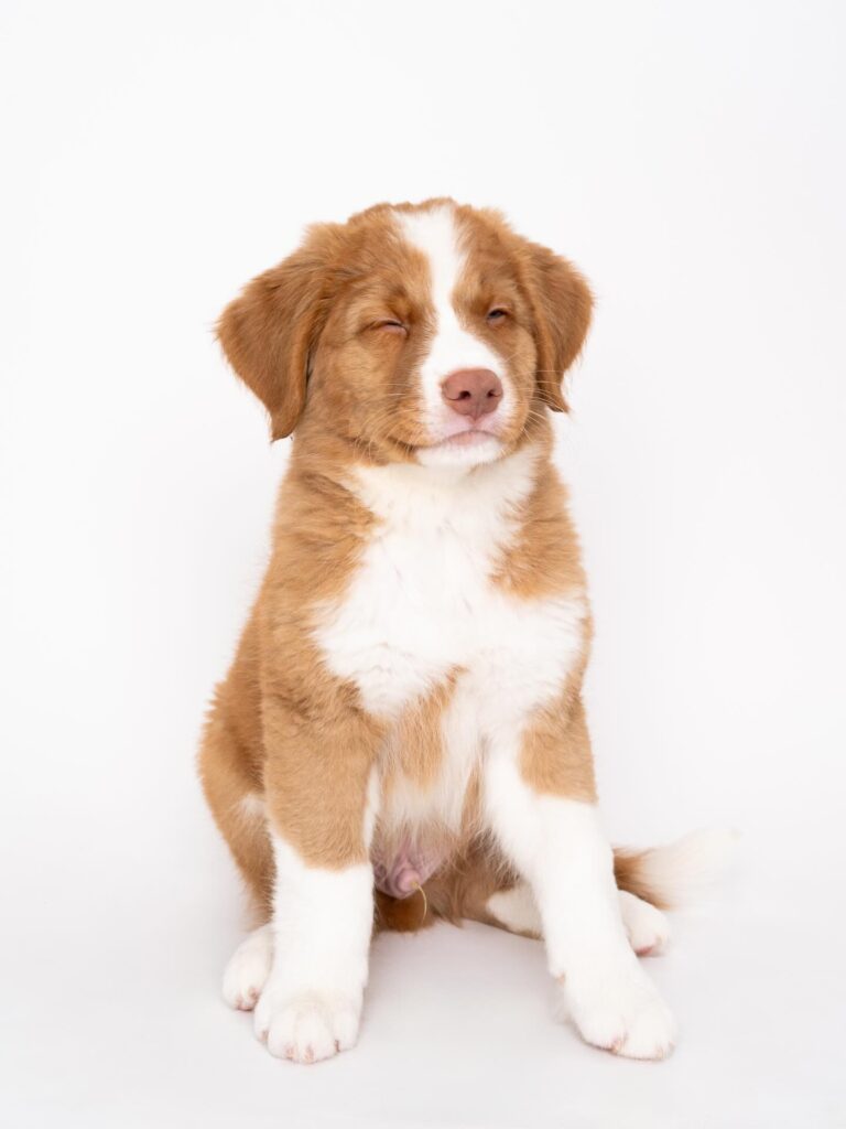 【実際の写真】現在の姿