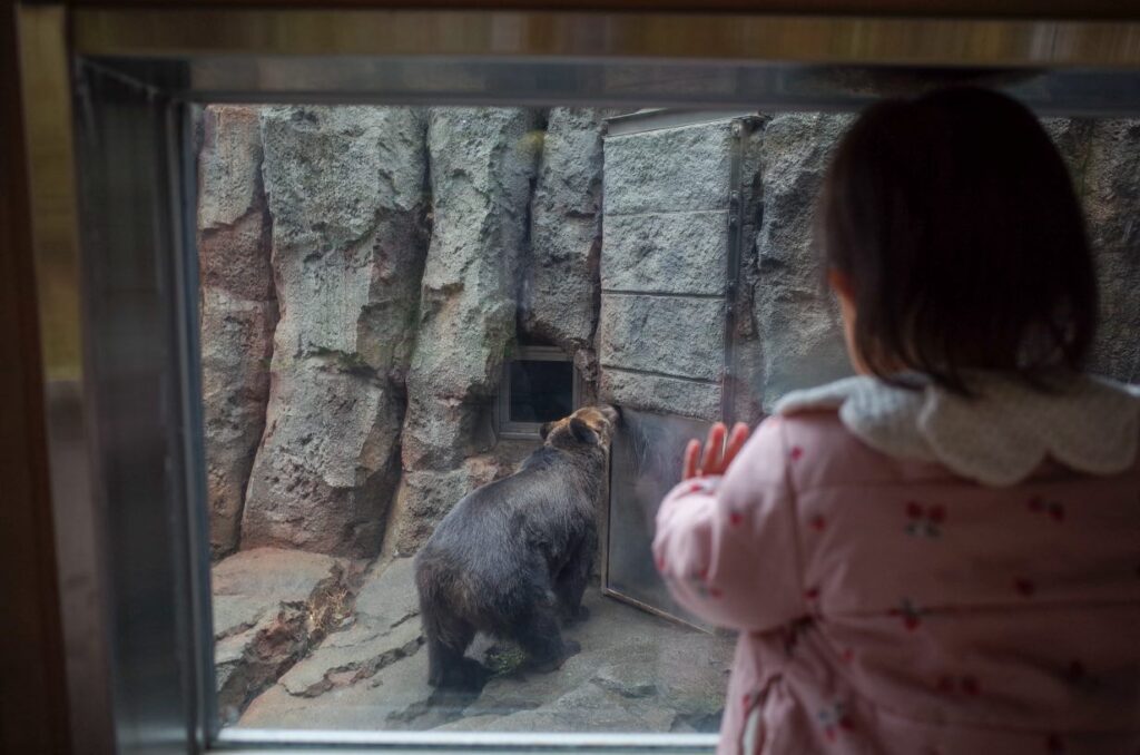 【実際の写真5枚】　ママが見た光景
