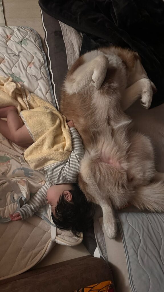 おやすみ（@luca.0823さんより提供）