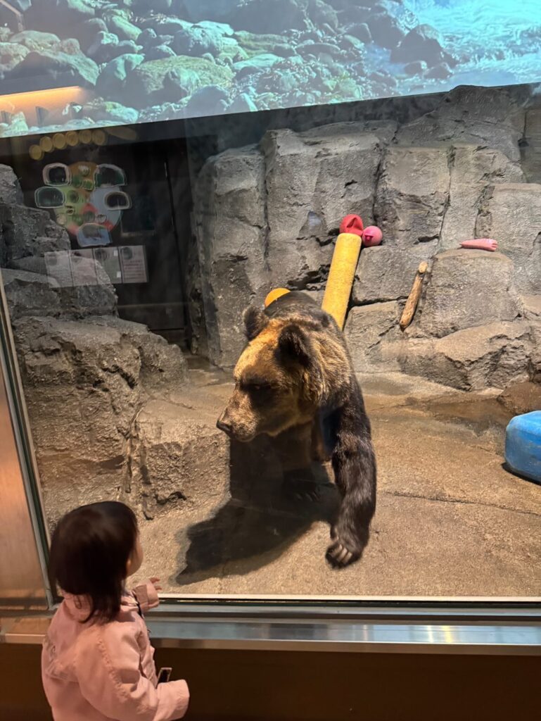 クマを見に行った日②（＠junjunna.oさんより提供）