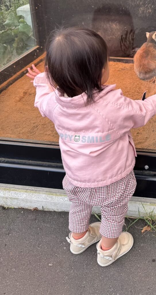 興味津々な娘さん（＠junjunna.oさんより提供）