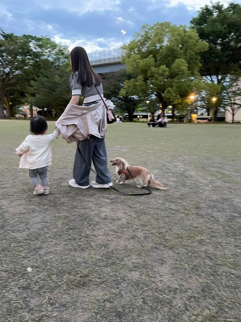 お散歩の様子（＠chacha210309さんより提供）