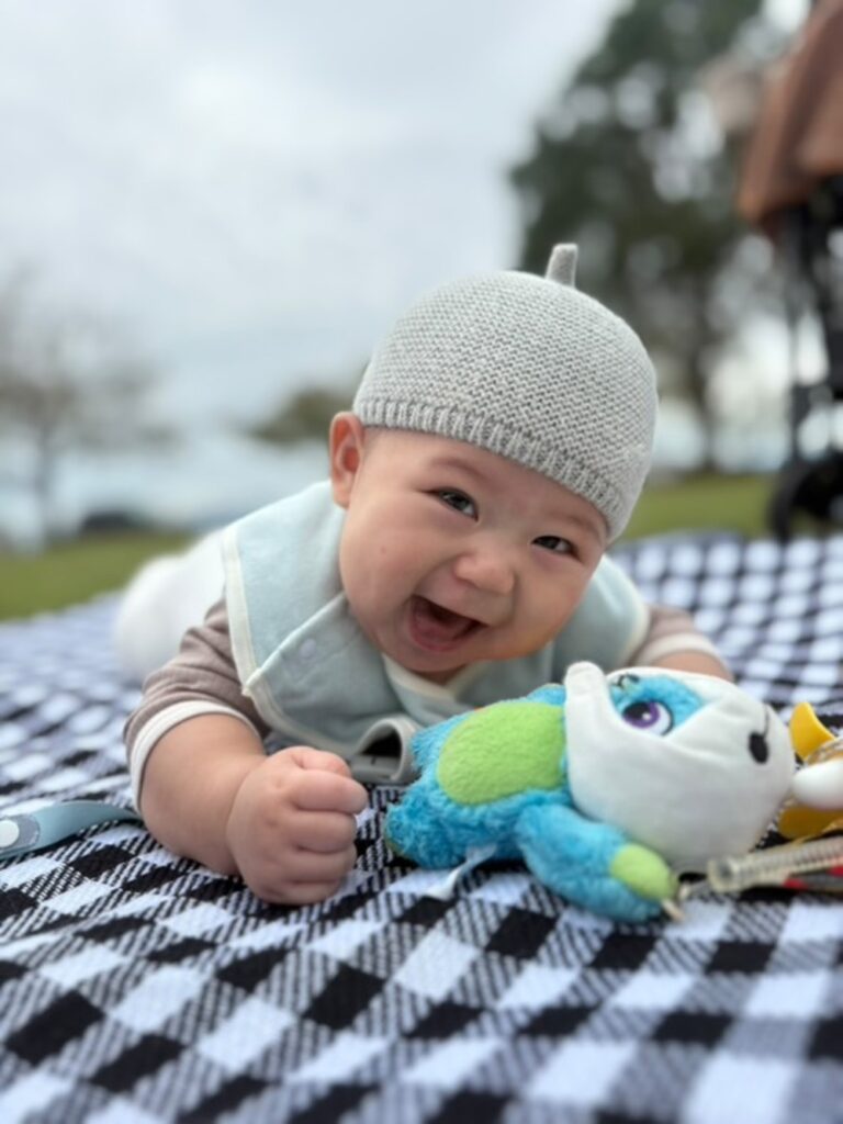 【実際の写真】撮影された写真（全体）