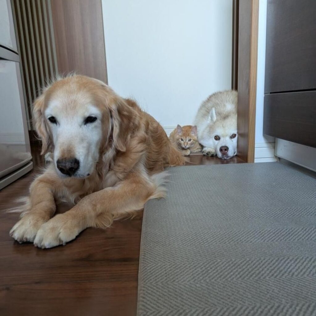 みんな、何を見てるのかな？（@8055marikoさんより提供）