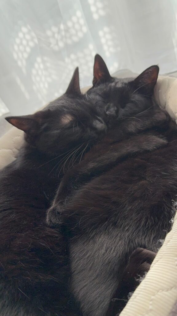 【実際の写真】挙式で起きた奇跡