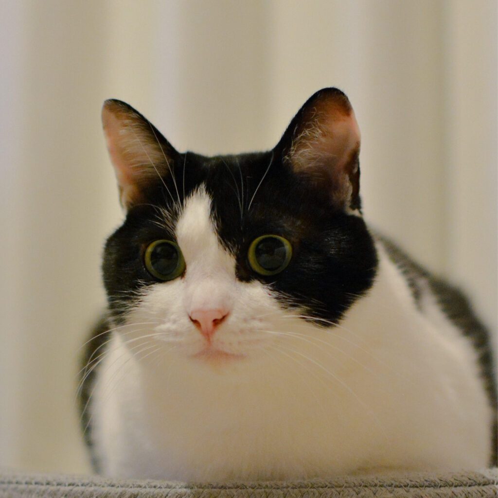 【実際の写真】受け取った診察券