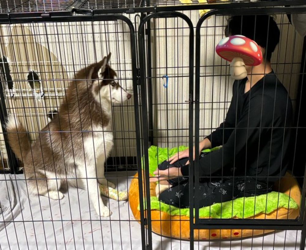 旦那さんによる実演指導（＠fukumaru_bunaさんより提供）