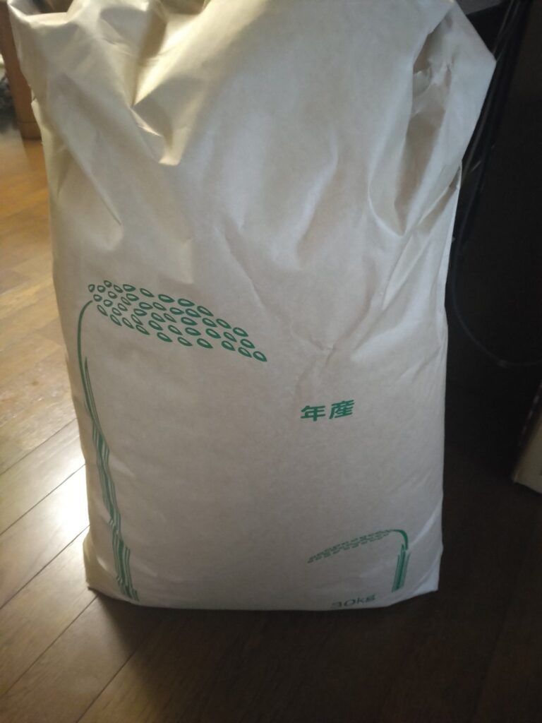 【実際の写真】まさかの光景