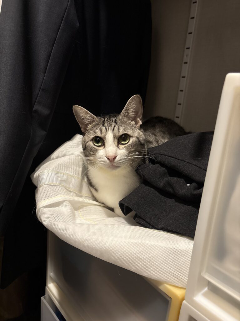 普段の様子①（＠koimo77さんより提供）