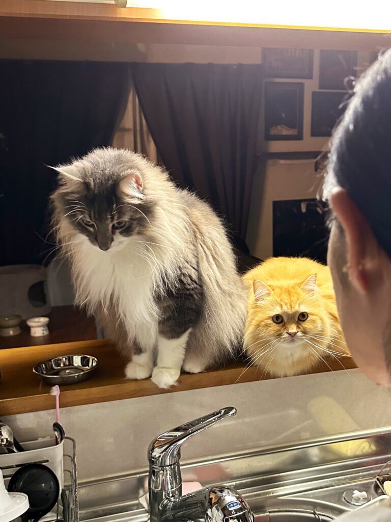 奥さんに尋問をするレイくんとエマちゃん（＠NEKOLAND13さんより提供）