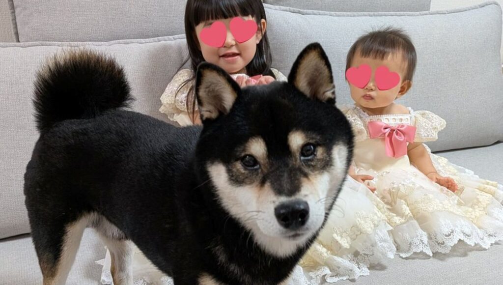 写真撮影中に登場したおはぎくん（＠kuromame_ohagiさんより提供）