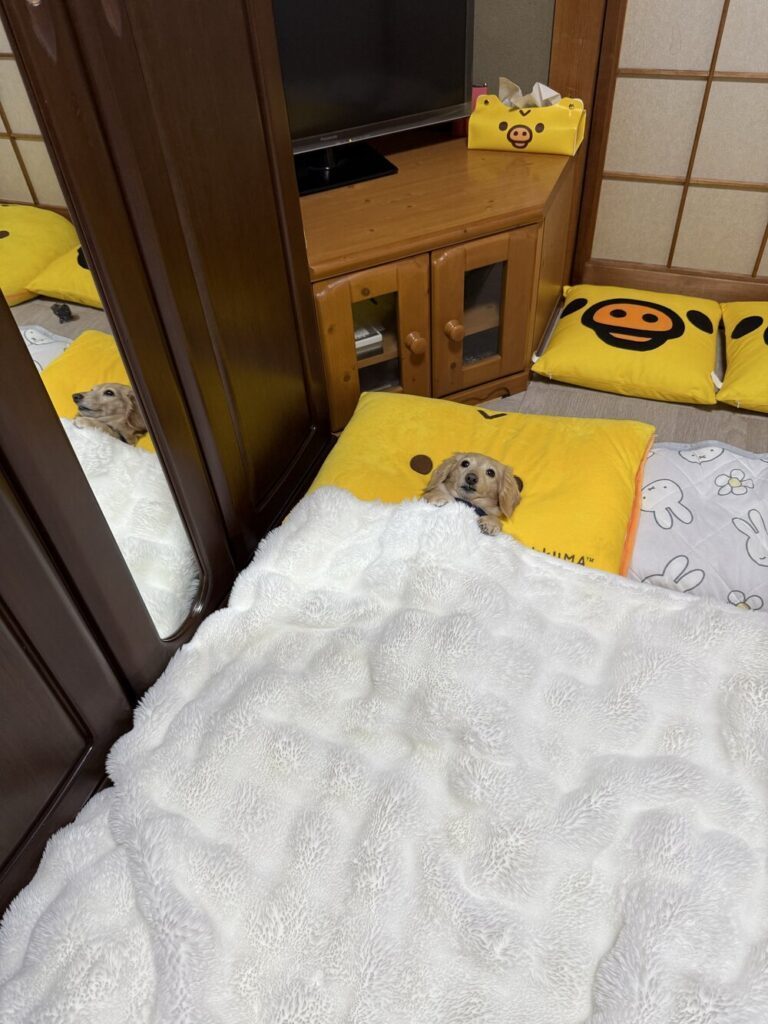 【実際の写真4枚】違和感の正体