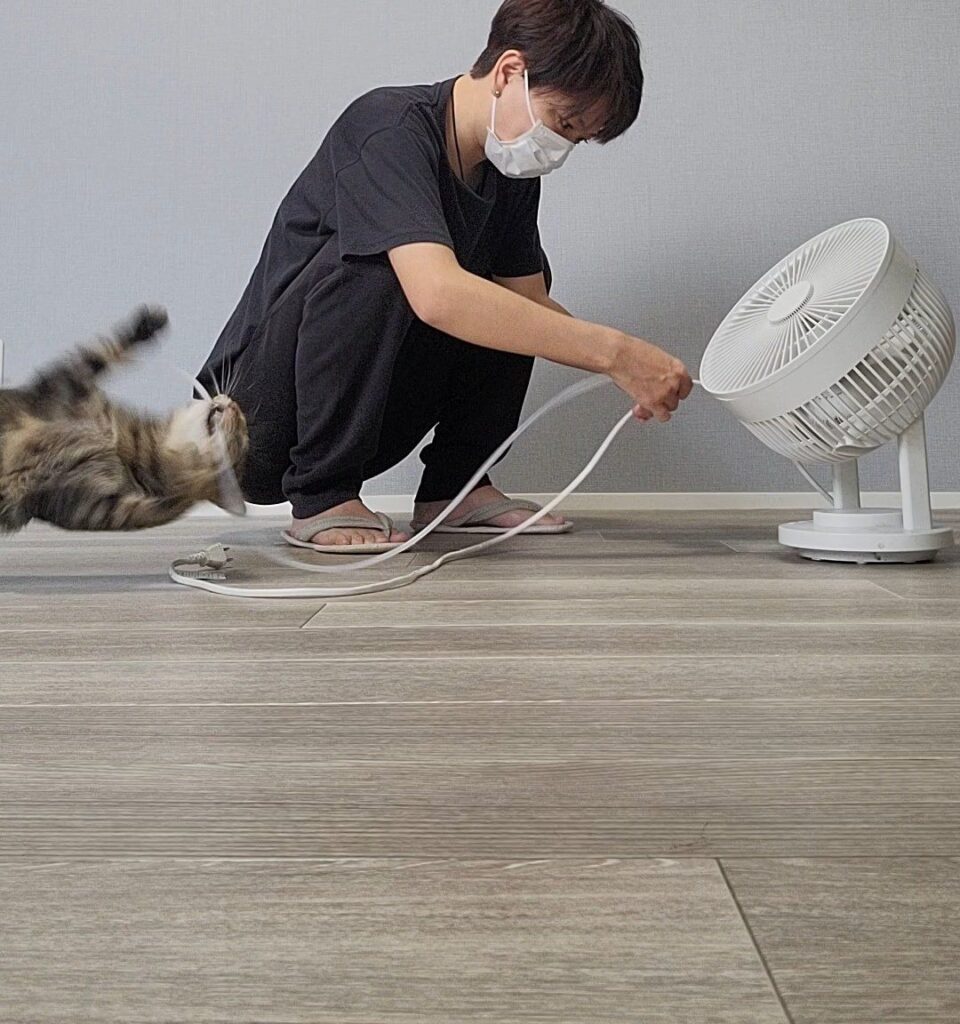 カバーに興味を持ったおこめくん①（＠chipie0826さんより提供）