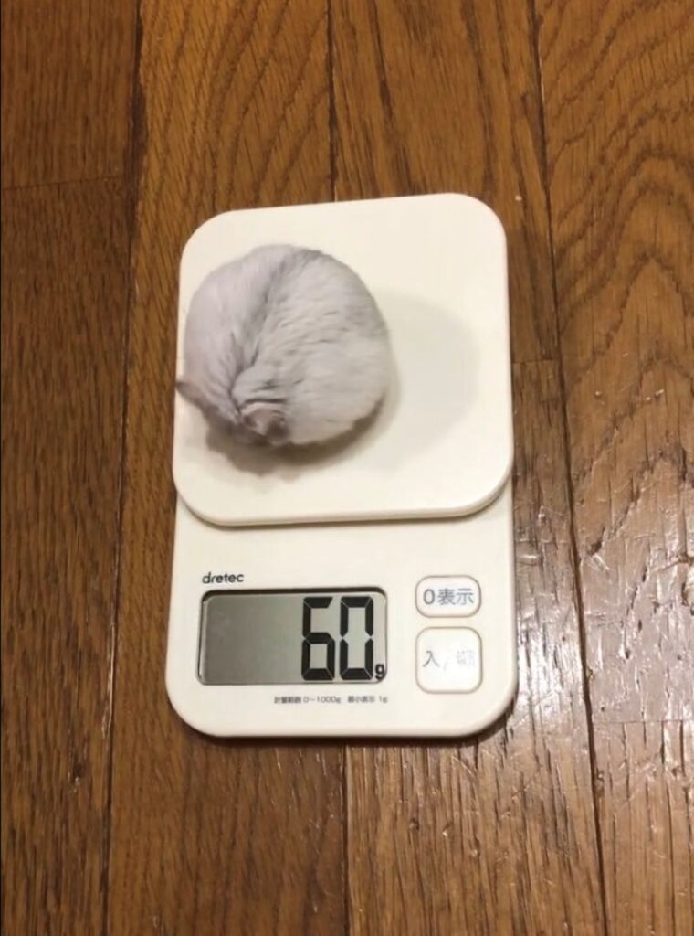 体重測定・食前（＠36_1970さんより提供）