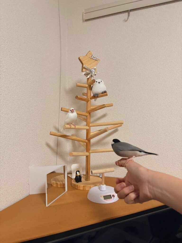 手作りの“止まり木ツリー”（@pino_bunchoさんより提供）