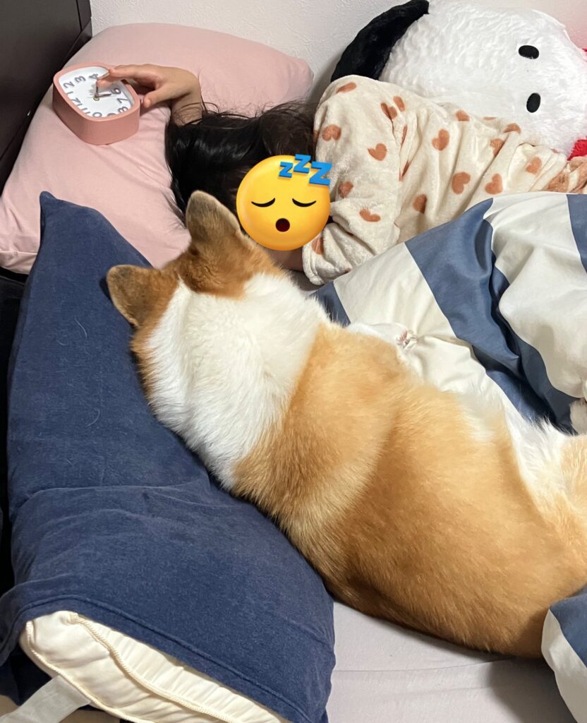 起こしに行ったはずが…（＠kogi_musuさんより提供）