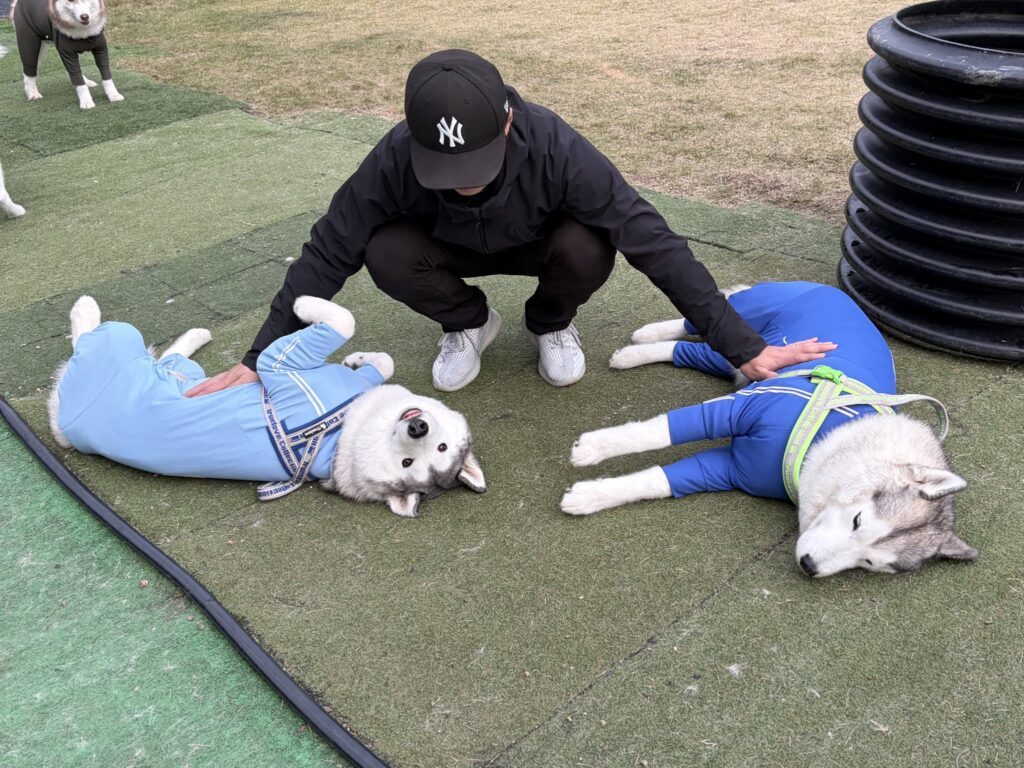 ドッグランでの様子（＠mofumofusaaanさんより提供）