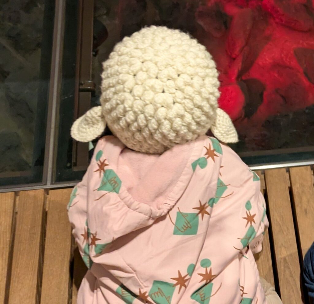 後ろから見た様子（＠animochanmanさんより提供）