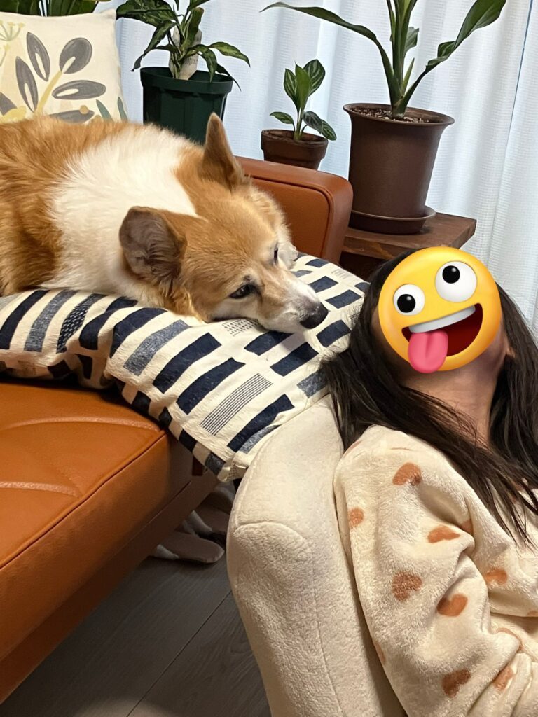 グリコちゃん②（＠kogi_musuさんより提供）