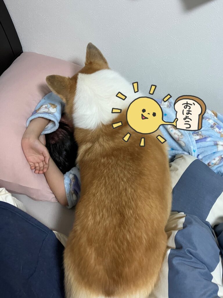 【実際の写真】起こしに行ったワンちゃんの様子