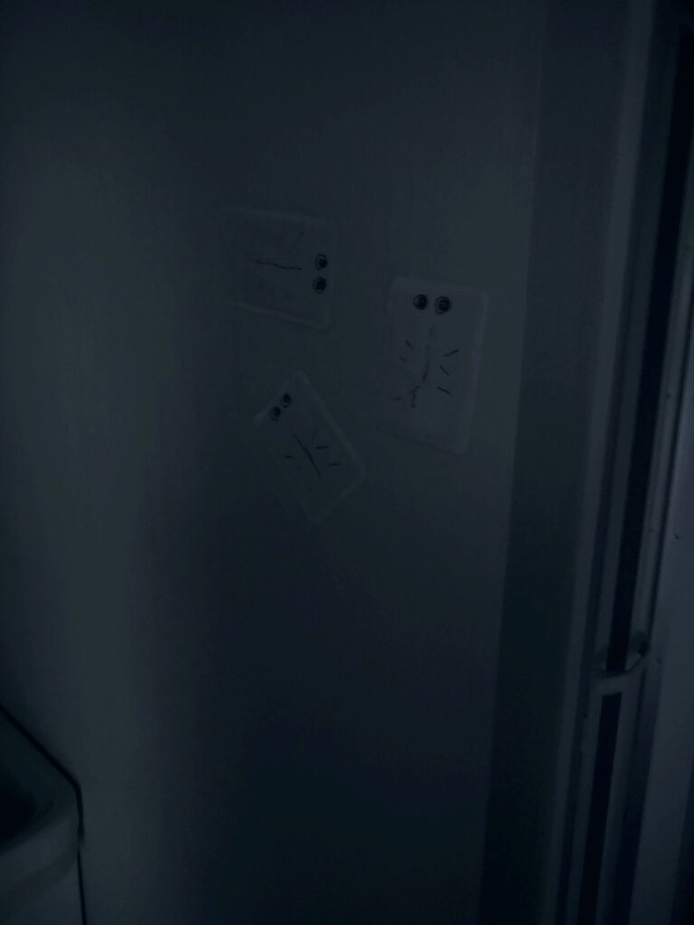 【実際の写真】視線の正体