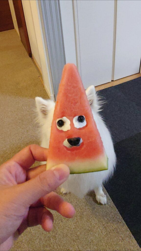 【実際の写真】くり抜いたスイカの使い方