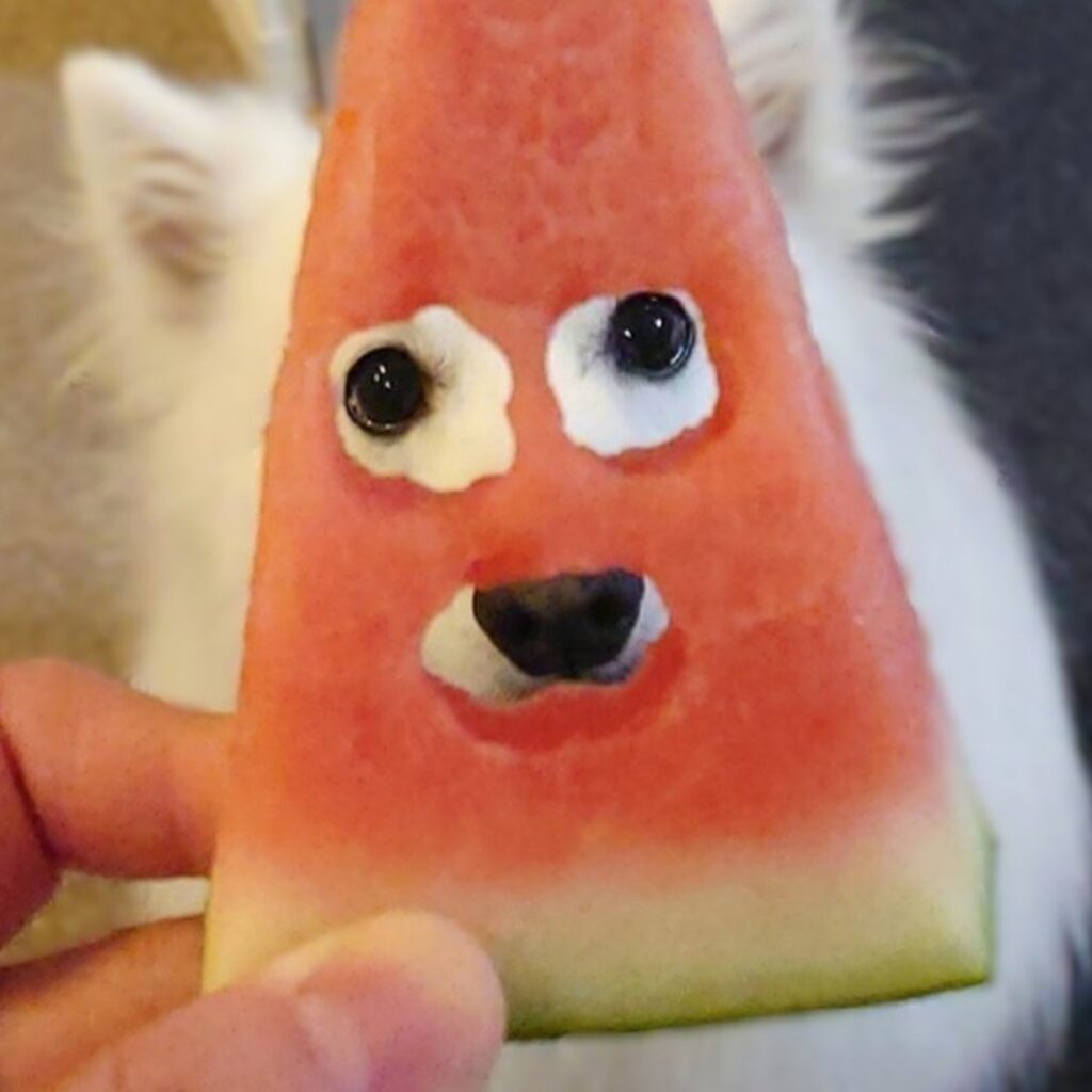 スイカに隠れているのは誰だ？（@kukuri_shibainuさんより提供）