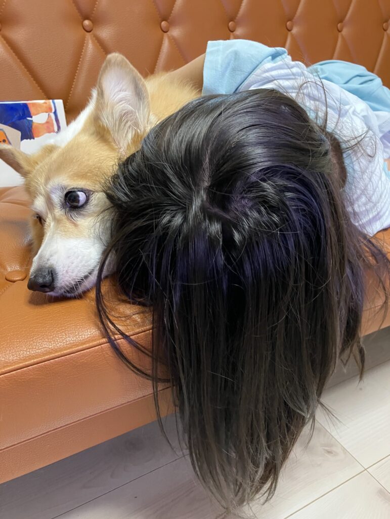 グリコちゃん③（＠kogi_musuさんより提供）