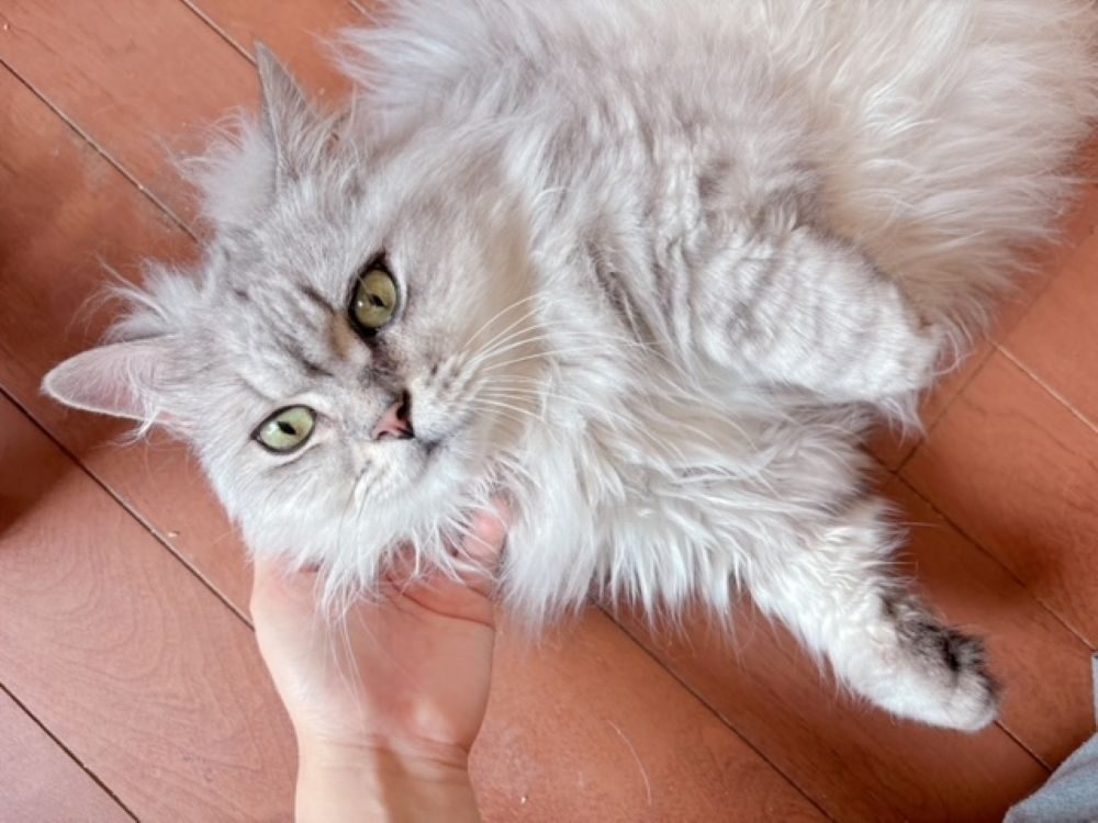 ニモくん②（＠mikoto7125さんより提供）