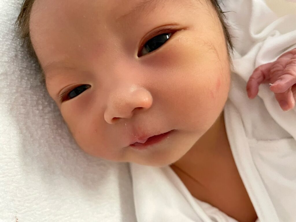 【実際の写真】現在の姿