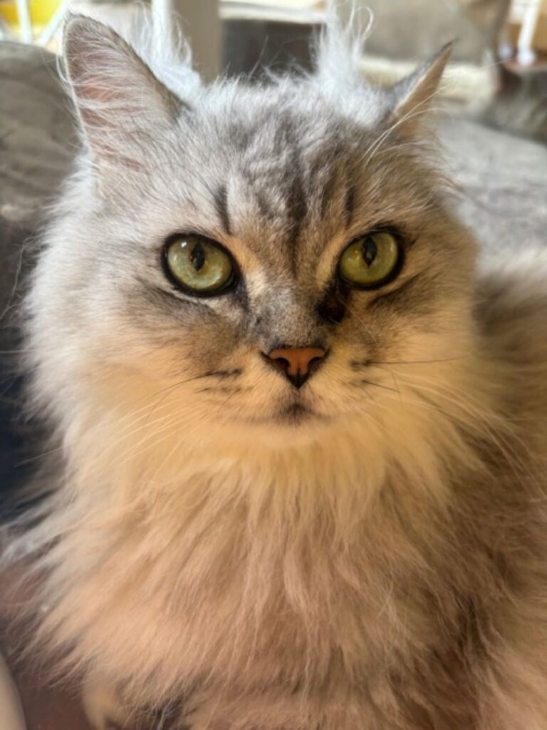 ニモくん①（＠mikoto7125さんより提供）