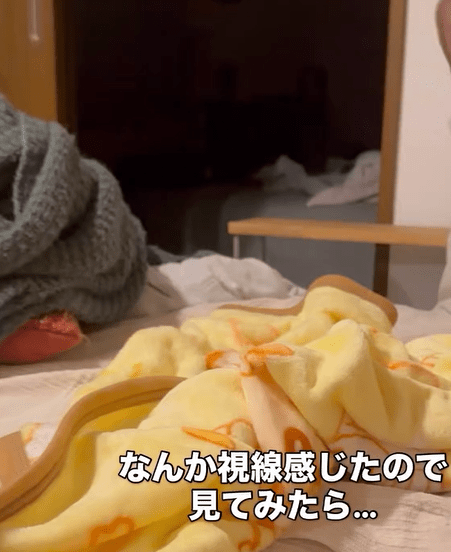 リビングで寛いでいた女性「何か視線を感じる」→ふと、隣を見てみると…”まさかの光景”に「ｗｗｗｗ」「ジワジワくるｗ」「なーんだ人間か」