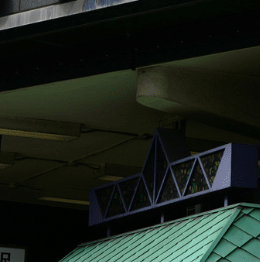 来日したイギリス人女性「驚きました。」日本で目にした光景に「別世界」「尊敬」「心を打たれた」