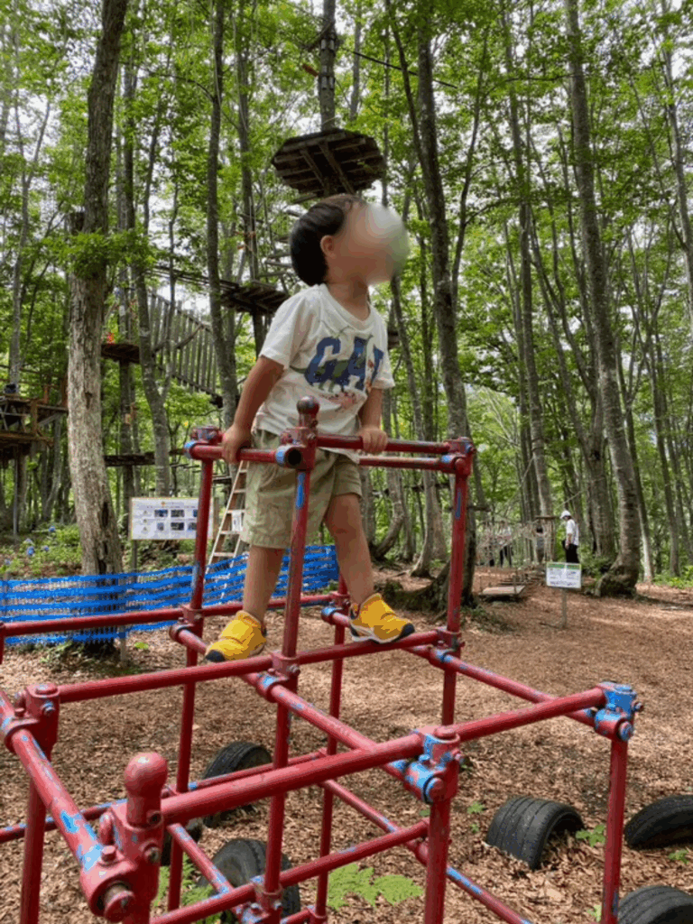 普段の息子さん③（＠miki.asnさんより提供）