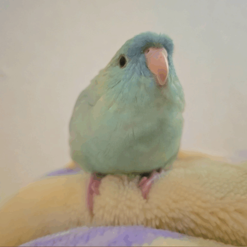 【実際の写真】実際見た光景