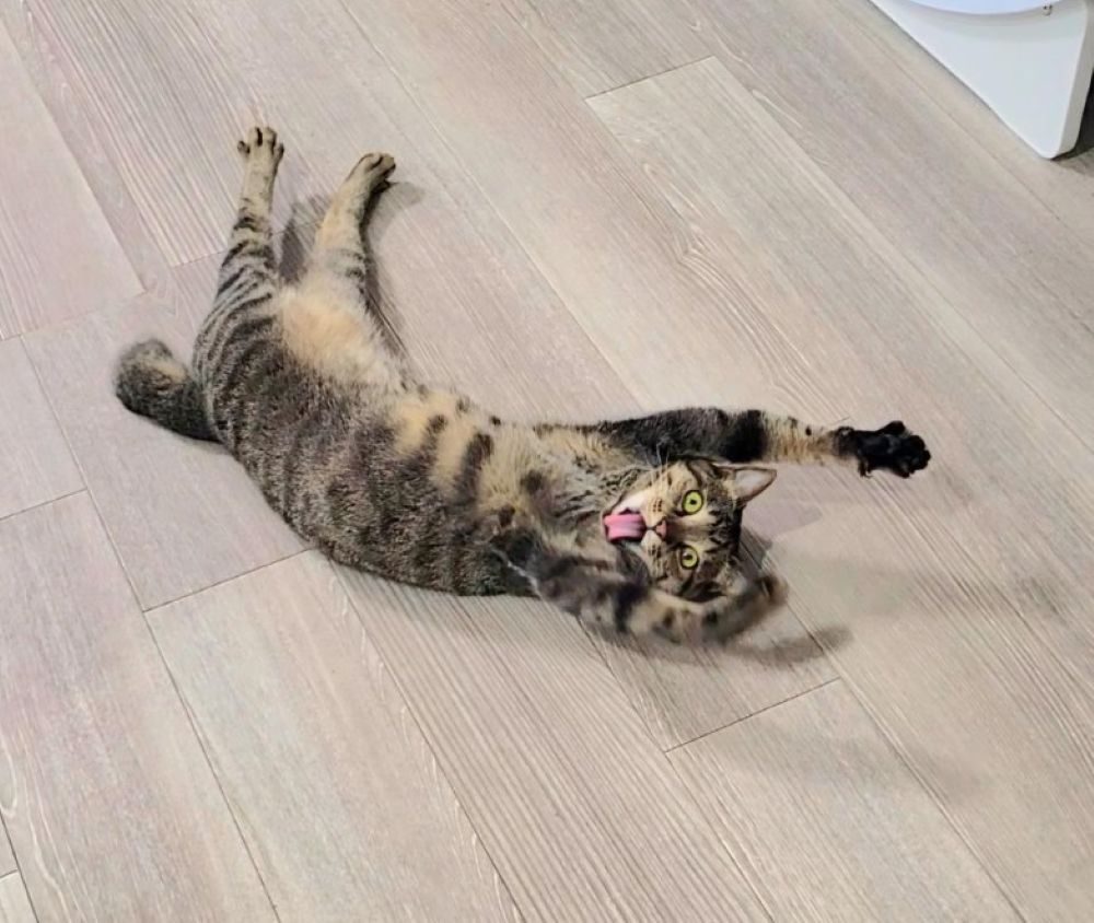 【実際の写真5枚】背後に映り込んでいたもの