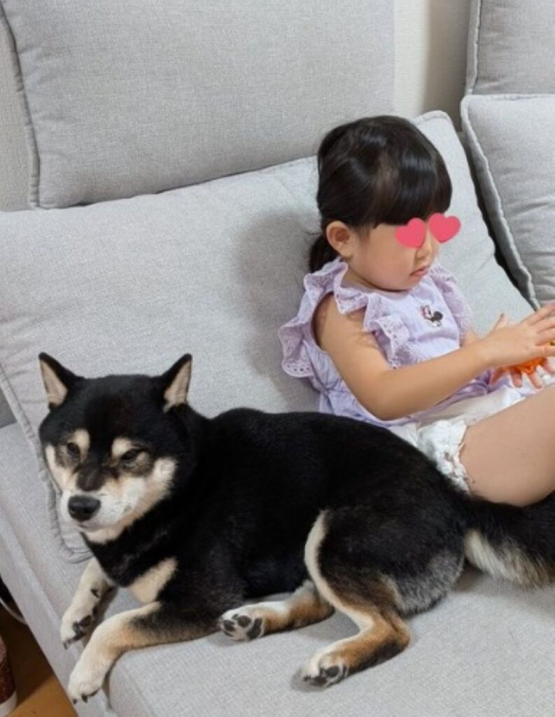 ソファーでまったり（＠kuromame_ohagiさんより提供）