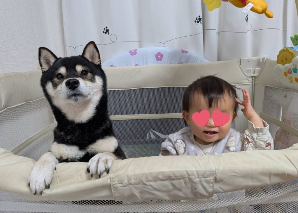 おはぎくんと娘さん②（＠kuromame_ohagiさんより提供）