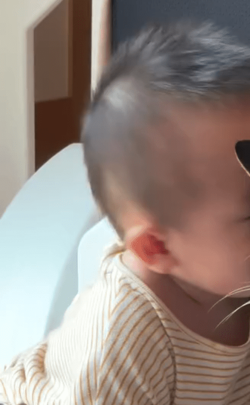 リビングにいた1歳息子。しかし、母がちょっと目を離すと…「可愛い」「やりたくなる」「微笑ましい」