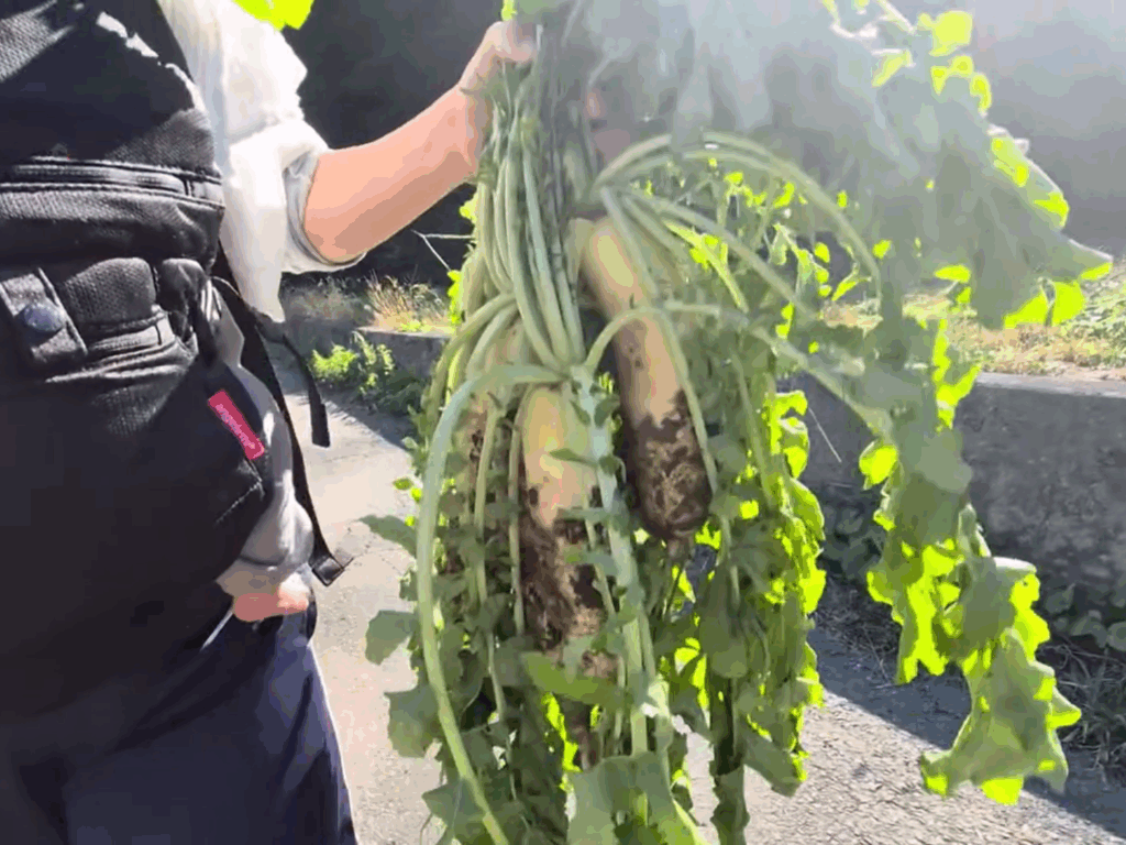 【実際の写真4枚】おばあちゃんがから渡されたモノ